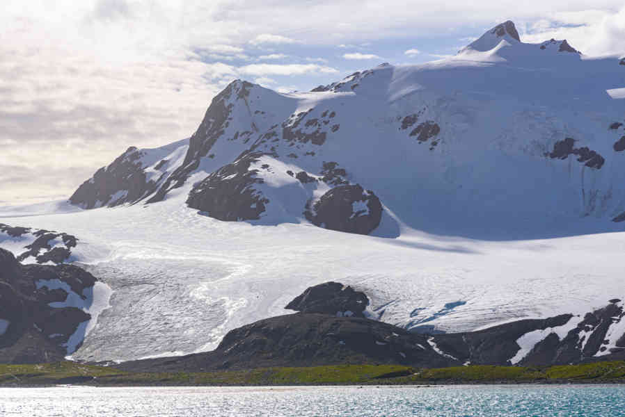 Islas Georgias del Sur 088.jpg